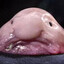 Uncle Blob