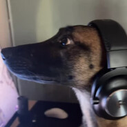 Zyrox