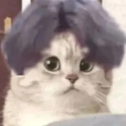 别吃我家哥哥下的蛋