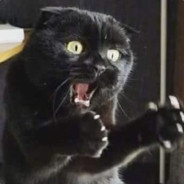 哈士奇和萨摩耶