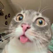 stuffov