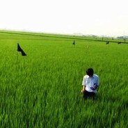 异形肉棒享受者