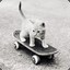 Rad Kitty