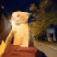 m1nus-