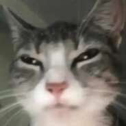 樱岛像有麻衣在爬