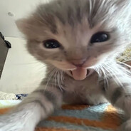 Mour4