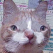 павук ебать