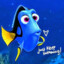 Dory_y