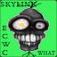 skylink13 [ECWC]