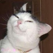 Surprise(>^.(>°.°)>