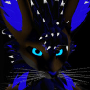 彡 ThunderFOX 彡