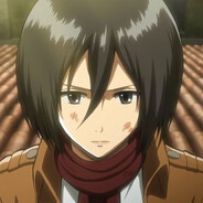 Mikasa Ackerman - steam id 76561199845309302
