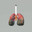 PULMONETE