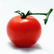 Tomato