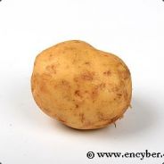 PoTATo