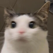 Deep 🚮 Dark 🚷 Fantasy