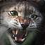 HungrycAT99