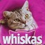 WhiskAs