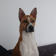 Darwin