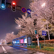 螺纹反带自己爽