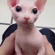 FullAvatar