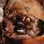 IM A FUCKING EWOK!