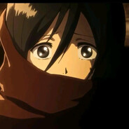 Mikasa
