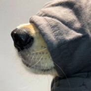 只想停在这一瞬间