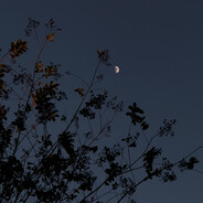 arfeal - steam id 76561198791181606