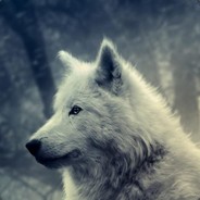 WhiteWolf ®