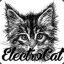 ElectroCat