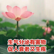 兰皎鸿离蜀