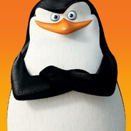 Skipper