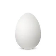 Bigg_Egg