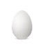 Bigg_Egg