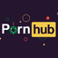P*RNHUB
