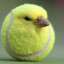 tennisbird