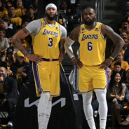 AAA-建材市场小范