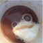 żaba's avatar