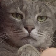 rodyx - steam id 76561198408816643