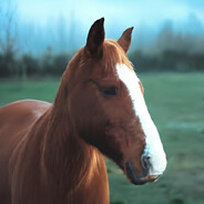 федя попкин