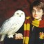 Hedwig Potter