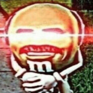 an extremely angry goose