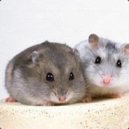 壮士请先杀我队友