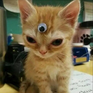 โชคดี่ละแก๋นห์