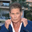 The Hoff