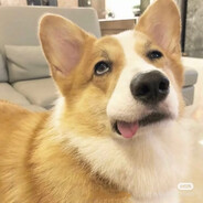 别转了我头晕2333