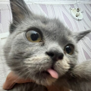 PIPIPUPU