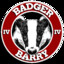 Badgerbarry4