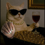 meow meow Steam avatar